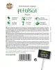 Sperli Petersilie Peione - 5 Saatscheiben - Kräutersamen