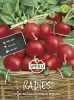 Sperli Radieschen Cherry Belle - Gemüsesamen