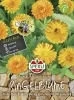 Sperli Ringelblumen SPERLI´s Wilde Schönheit - Blumensamen