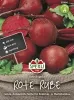 Sperli Rote Bete Rote Kugel 2 - Gemüsesamen