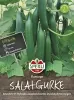 Sperli Salatgurken Flamingo F1 - Gemüsesamen