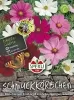Sperli Schmuckkörbchen / Kosmeen Sensation Mischung - Blumensamen