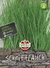 Sperli Schnittlauch Twiggy - Kräutersamen