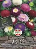 Sperli Sommerastern Pompon Mischung - Blumensamen