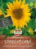 Sperli Sonnenblumen Early Bird - Blumensamen