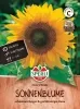 Sperli Sonnenblumen Henry Wilde - Blumensamen