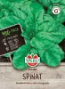 Sperli Spinat Matador 50 Gramm MaxiPack - Gemüsesamen