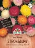 Sperli Strohblumen Koloss Mischung - Blumensamen