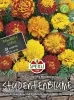 Sperli Studentenblumen Tagetes SPERLIs Sparky Mischung - Blumensamen