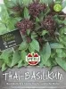 Sperli Thaibasilikum Siam Queen - Kräutersamen