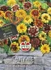 Sperli Zinnien Perserteppich Mischung - Blumensamen