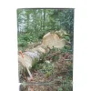 STIHL® Helmset Dynamic Light - 0000 888 0825