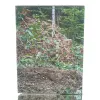 STIHL® Helmset Dynamic Light - 0000 888 0825