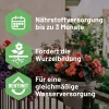 SUBSTRAL® Balkon- und Kübelpflanzenerde torffrei - 40 Liter