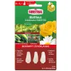SUBSTRAL® Blattlaus Schädlingsfrei Careo ECO Konzentrat - 3 x 3 ml