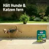 SUBSTRAL® CELAFLOR® Hunde & Katzen EX - 200 g