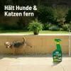 SUBSTRAL® CELAFLOR® Hunde & Katzen Stopp anwendungsfertig - 500 ml