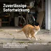 SUBSTRAL® CELAFLOR® Hunde & Katzen Stopp anwendungsfertig - 500 ml