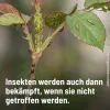 SUBSTRAL® CELAFLOR® Schädlingsfrei CAREO® Zierpflanzen - 800 ml