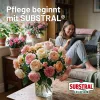 SUBSTRAL® CELAFLOR® Schädlingsfrei CAREO® Zierpflanzen - 800 ml