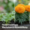 SUBSTRAL® Gartendünger Universal für alle Gartenpflanzen - 4 Liter