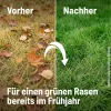 SUBSTRAL® Herbst Rasendünger für bis zu 250 m² - 6,25 kg