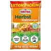 SUBSTRAL® Herbst Rasendünger für bis zu 400 m² - 10 kg