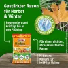 SUBSTRAL® Herbst Rasendünger für bis zu 400 m² - 10 kg