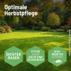 SUBSTRAL® Herbst Rasendünger für bis zu 400 m² - 10 kg