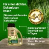 SUBSTRAL® Magisches Rasen-Pflaster 1 kg für bis zu 5 m²