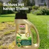 SUBSTRAL® Magisches Rasen-Pflaster 1 kg für bis zu 5 m²