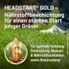 SUBSTRAL® Magisches Rasen-Pflaster für bis zu 16 m² - 3,6 kg