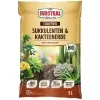 SUBSTRAL® Naturen® BIO Sukkulenten & Kaktuserde torffrei - 5 Liter