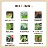 SUBSTRAL® Naturen® Grundstoff Urtica Spray anwendungsfertig - 750 ml