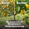SUBSTRAL® Naturen® Mediterrane und Zitruspflanzenerde torffrei - 20 Liter