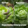 SUBSTRAL® Naturen® Schneckenkorn LIMEX® Fe für 333 m² - 1 kg
