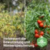 SUBSTRAL® Naturen® Tomaten- und Gemüseerde torffrei - 40 Liter