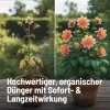 SUBSTRAL® Naturen® Universalerde torffrei - 20 Liter