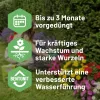 SUBSTRAL® Pflanzerde torffrei - 40 Liter