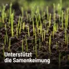 SUBSTRAL® Rasenerde torffrei - 40 Liter
