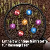 SUBSTRAL® Rasenerde torffrei - 40 Liter