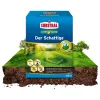 SUBSTRAL® Rasensamen Der Schattige für 100 m² - 2 kg