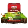 SUBSTRAL® Rasensamen Die Nachsaat für ca. 100 m² - 2 kg