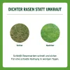 SUBSTRAL® Rasensamen Sport & Spiel 2 kg für bis zu 100 m²