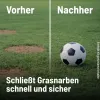 SUBSTRAL® Rasensamen Sport & Spiel für bis zu 100 m² - 2 kg