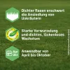 SUBSTRAL® Rasensamen Sport & Spiel für bis zu 100 m² - 2 kg