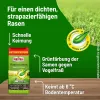SUBSTRAL® Rasensamen Sport & Spiel für bis zu 250 m² - 5 kg