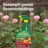 SUBSTRAL® Rosenspray Careo Eco Schädlingsfrei anwendungsfertig - 1 Liter