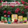SUBSTRAL® Rosenspray Careo Eco Schädlingsfrei anwendungsfertig - 1 Liter