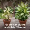 SUBSTRAL® Terra Magma® Grün- und Blühpflanzenerde torffrei - 40 Liter